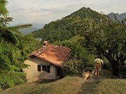 03 Al roccolo del Forcellino (1230 m)